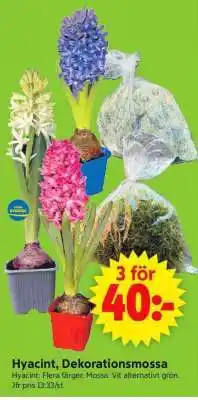 ICA Supermarket Hyacint, Dekorationsmossa erbjuda