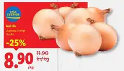 Lidl Gul lök erbjuda