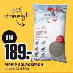 ÖoB PIPPIP SOLROSFRÖN erbjuda