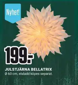 ÖoB JULSTJÄRNA BELLATRIX erbjuda