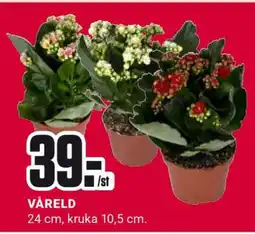 ÖoB Våreld erbjuda