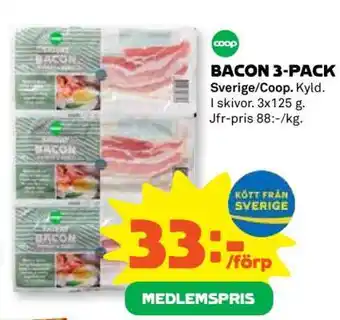 BACON 3-PACK