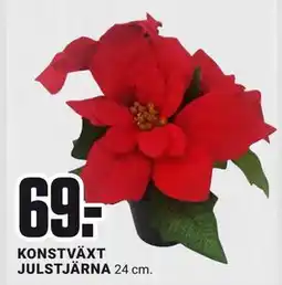 ÖoB KONSTVÄXT JULSTJÄRNA, SEK 69 erbjuda