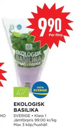 Willys Hemma EKOLOGISK BASILIKA, SEK 9.9 erbjuda