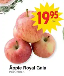 Matöppet Äpple Royal Gala, SEK 19.95 erbjuda