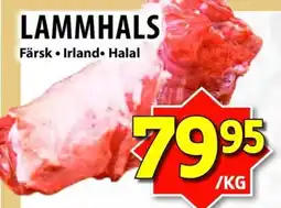 Matvärlden Tensta Lammhals erbjuda