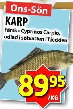 Matvärlden Tensta Karp erbjuda