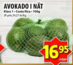 Matvärlden Tensta Avokado i nät erbjuda