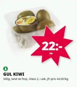 Tempo Gul kiwi erbjuda