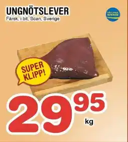 Nya Pulsen Ungnötslever erbjuda