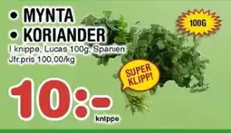 Nya Pulsen Mynta • Koriander erbjuda