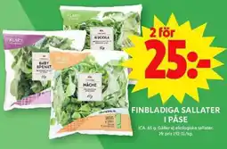 ICA Maxi ICA Finbladiga sallater i påse erbjuda