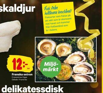 City Gross Ostron erbjuda