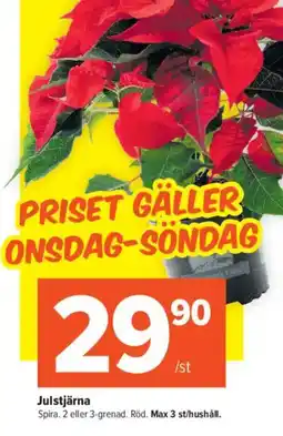 Coop Extra Julstjärna erbjuda