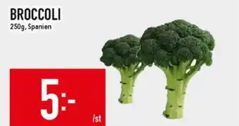 Broccoli