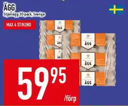 Matdax STJÄMÄGG Ägg erbjuda