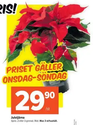 Coop Extra Julstjärna, SEK 29.9 erbjuda