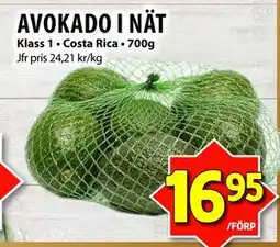 Matvärlden Tensta AVOKADO I NÄT, SEK 16.95 erbjuda