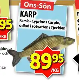 Matvärlden Tensta KARP, SEK 89.95 erbjuda