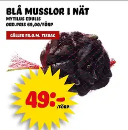 Nelins Blå musslor i nät erbjuda