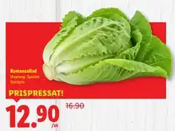 Lidl Romansallad, SEK 12.9 erbjuda