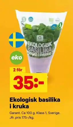 City Gross Ekologisk basilika i kruka, SEK 35 erbjuda