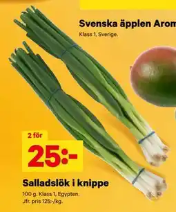 City Gross Salladslök i knippe, SEK 25 erbjuda