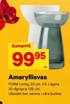 City Gross Amaryllisvas, SEK 99.95 erbjuda