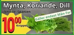 Supergrossen Mynta, Koriande, Dill, SEK 10 erbjuda