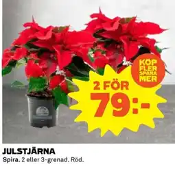 Coop Julstjärna erbjuda