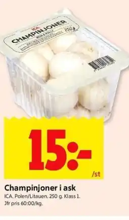 ICA Kvantum ICA Champinjoner i ask erbjuda