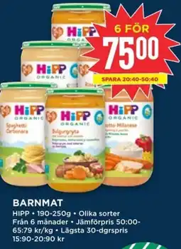 Willys HIPP Barnmat erbjuda