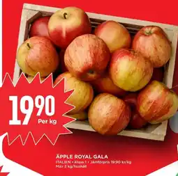 Willys Äpple royal gala erbjuda