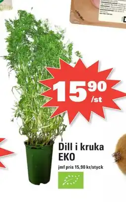 Nära dej Dill i kruka EKO, SEK 15.9 erbjuda