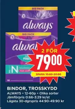 Willys BINDOR, TROSSKYDD, SEK 79 erbjuda