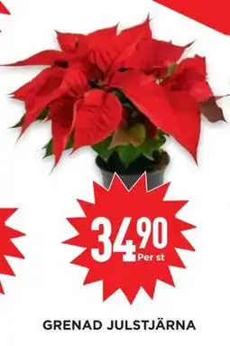 Willys GRENAD JULSTJÄRNA, SEK 34.9 erbjuda