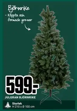 ÖoB JULGRAN BJÖRNRIKE, SEK 599 erbjuda