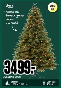 ÖoB JULGRAN VOSS, SEK 3499 erbjuda