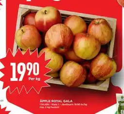 Willys ÄPPLE ROYAL GALA, SEK 19.9 erbjuda