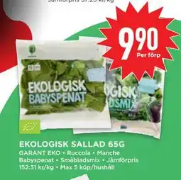 Willys EKOLOGISK SALLAD 65G, SEK 9.9 erbjuda