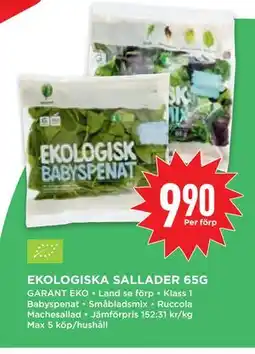 Willys Hemma EKOLOGISKA SALLADER 65G, SEK 9.9 erbjuda
