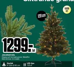 ÖoB JULGRAN GOL, SEK 1299 erbjuda