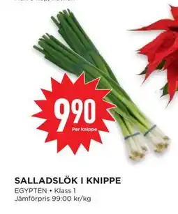 Willys Hemma SALLADSLÖK I KNIPPE, SEK 9.9 erbjuda