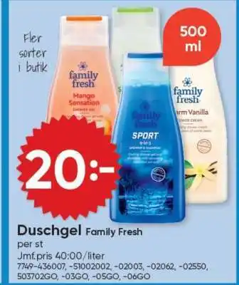 DollarStore Duschgel Family Fresh erbjuda