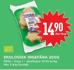 Willys EKOLOGISK INGEFÄRA 200G erbjuda