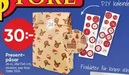 DollarStore Present-påsar erbjuda