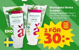 Stora Coop Ekologiska färska kryddor erbjuda