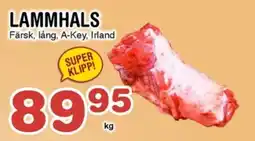 Nya Pulsen Lammhals erbjuda