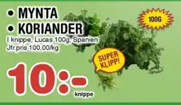 Nya Pulsen Mynta • koriander erbjuda