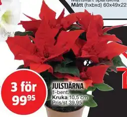 Bauhaus JULSTJÄRNA, SEK 99.95 erbjuda